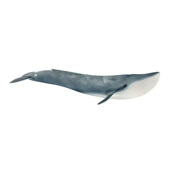 Ballena azul