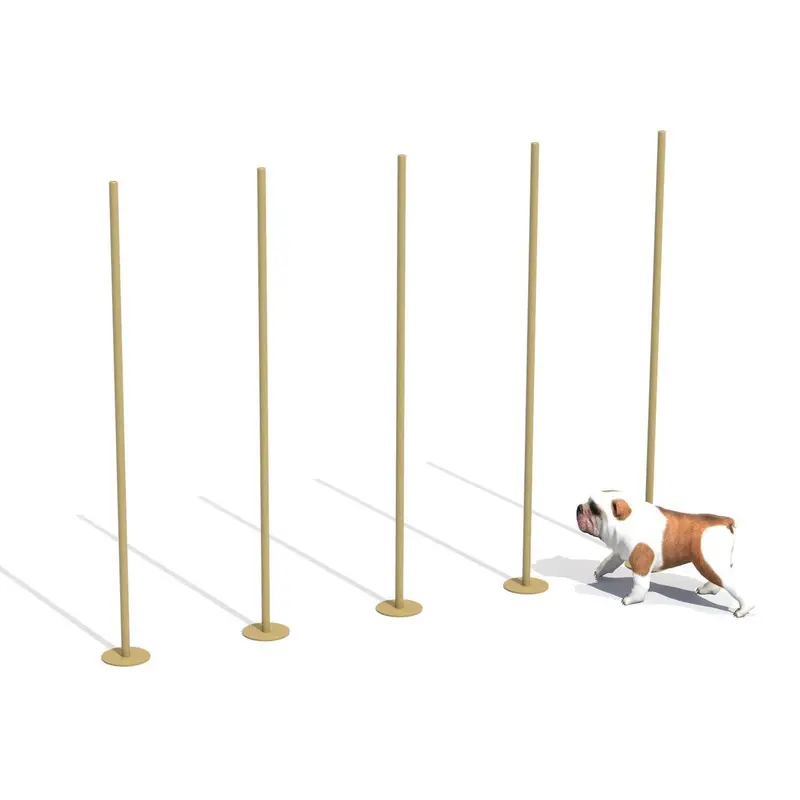 Zig Zag Entrenamiento Canino